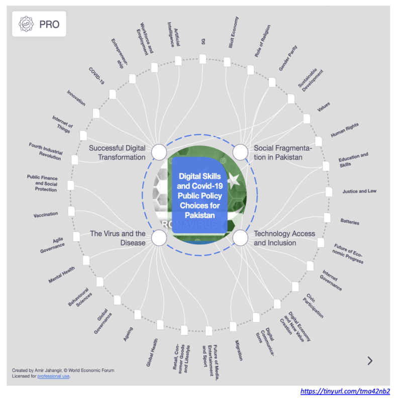 Digital Skills and COVID 19 Public Policy Options for Pakistan