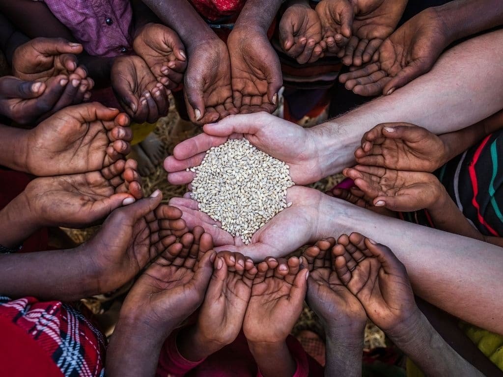 Food Security – A Potential Global Threat