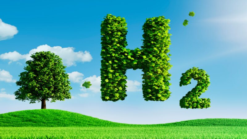 Green Algae-Powered Hydrogen Breakthrough: A Sustainable Fuel Revolution "Green Algae-Powered Hydrogen Breakthrough: A Sustainable Fuel Revolution"