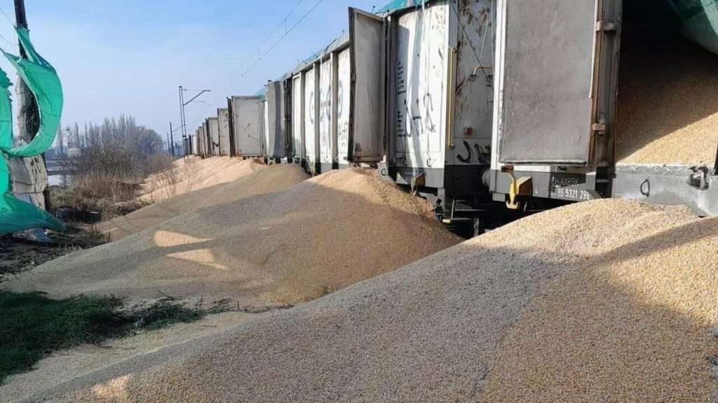 Who destroyed Ukrainian Grain in Poland? Anti Poland hand behind this incident can't be ruled out. Beyond the Shattered Grains: Unpacking the Ukraine-Poland Grain Standoff and its Global Repercussions. Picture Credit: Agriland