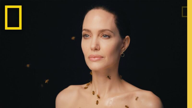 A Celestial Dance: Angelina Jolie’s Fearless Tribute on World Bee Day A Celestial Dance: Angelina Jolie's Fearless Tribute on World Bee Day. PC: National geographic
