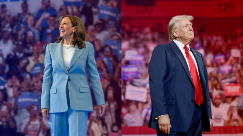 News Analysis: The U.S. Presidential Race Between Kamala Harris and Donald Trump Kamala Harris and Donald Trump fighting for Presidency