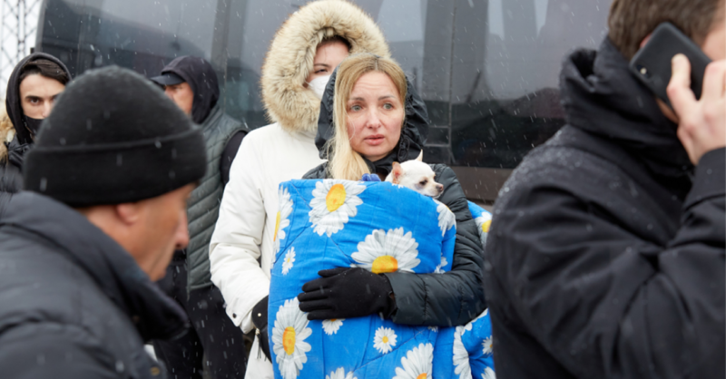 Ukraine Faces Existential Crisis as Global Support Pivots to Iran and Greenland Ukraine Faces Existential Crisis as Global Support Pivots to Iran and Greenland