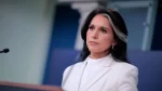Tulsi Gabbard Resignation Shocks Washington Amid Iran Policy Rift and Internal Trump Team Tensions